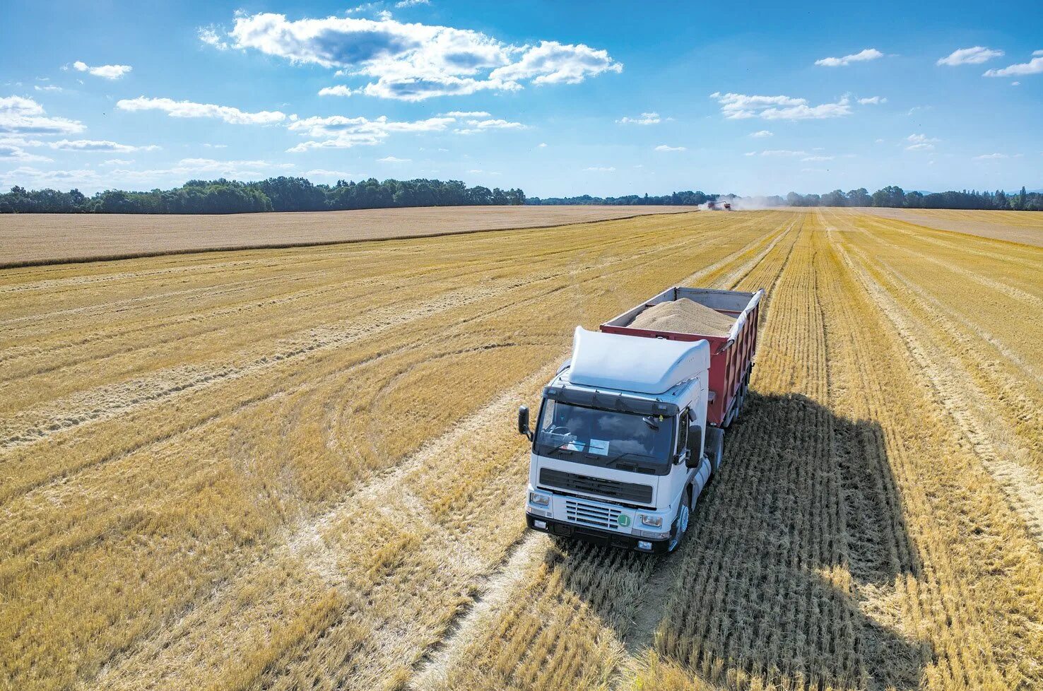 Машина для перевозки зерна. Агроном в поле. Камаз на уборочной. Машина для перевозки зерна. Водитель камаза в поле.