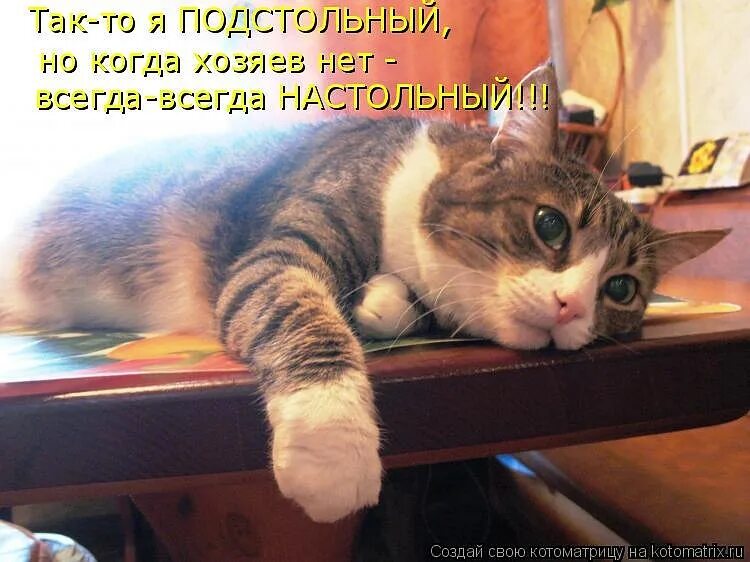 Почему то так