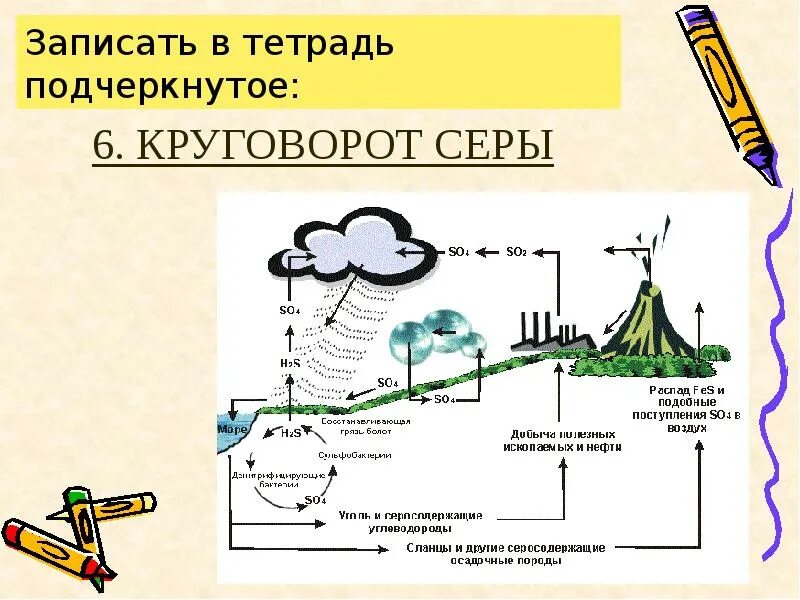 Роль микроорганизмов в круговороте серы. Круговорот веществ в природе сера схема. Круговорот сера в природе схема. Круговорот веществ серы в природе схема. Цикл серы в круговороте веществ.