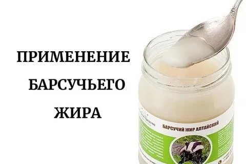 Сколько раз в день пить барсучий жир