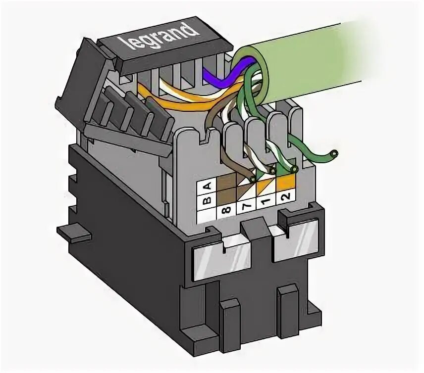 Как подключить интернет розетку легран. Распиновка розетки rj45. распиновка rj-45 розетки legrand. розетка легранд rj45. обжим розетки rj-45 legrand.