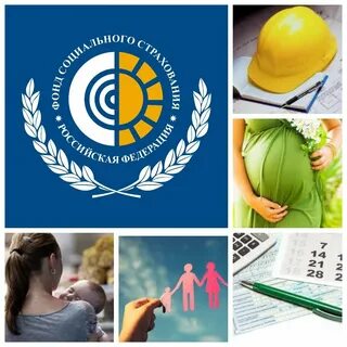 День работника социального страхования