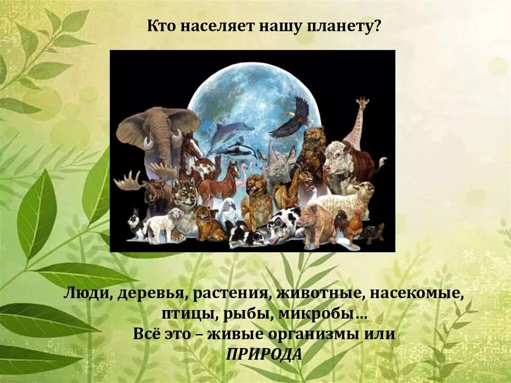 Мы все в ответе за нашу планету. Соседи по планете рисунок. Картинки мы в ответе за нашу планету. Планета живой организм. Живая планета 5 класс