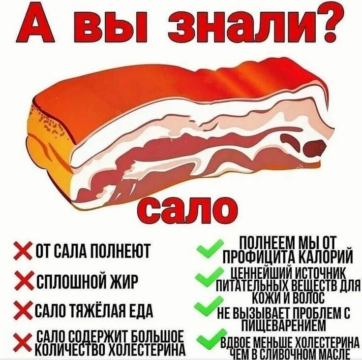 Полезно ли соленое сало. Сало это полезный или вредный. Сало полезные витамины. Сало полезные витамины. В сале есть витамин.