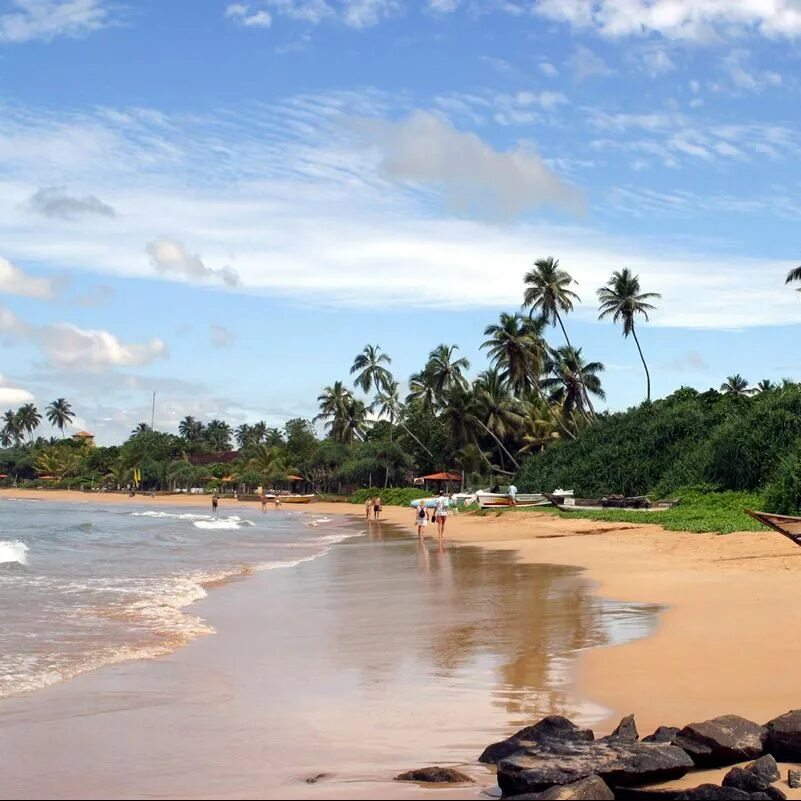 Бентота Бич Шри Ланка. Синнамон Бентота Бич. Пляж Бентота Шри Ланка. Клаб Бентота Шри Ланка.