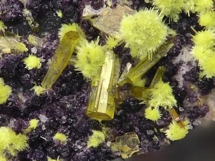 Mineral plant