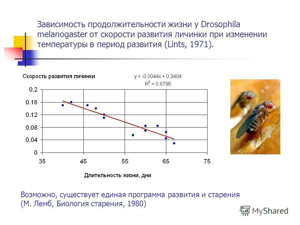 Зависимость периода колебаний от массы. Определение продолжительности работ проекта. Построить график зависимости периода колебаний от длины маятника. От чего зависит качество жизни. Зависит и срок работы.