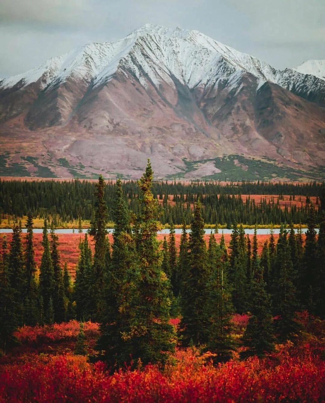 Штат Аляска. Аляска штат Америки. Штат Аляска природа. Аляска Анкоридж природа.