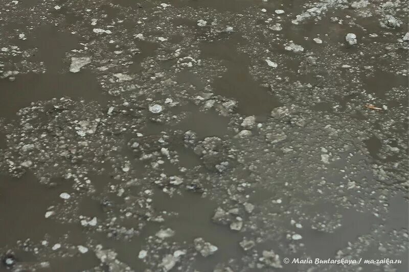 Дождь осенью. Мокрый асфальт дождь. Погода после мокрого. Дождь зимой. Погода после мокрого.