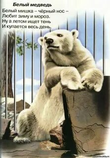В зоопарке за 4 дня белому