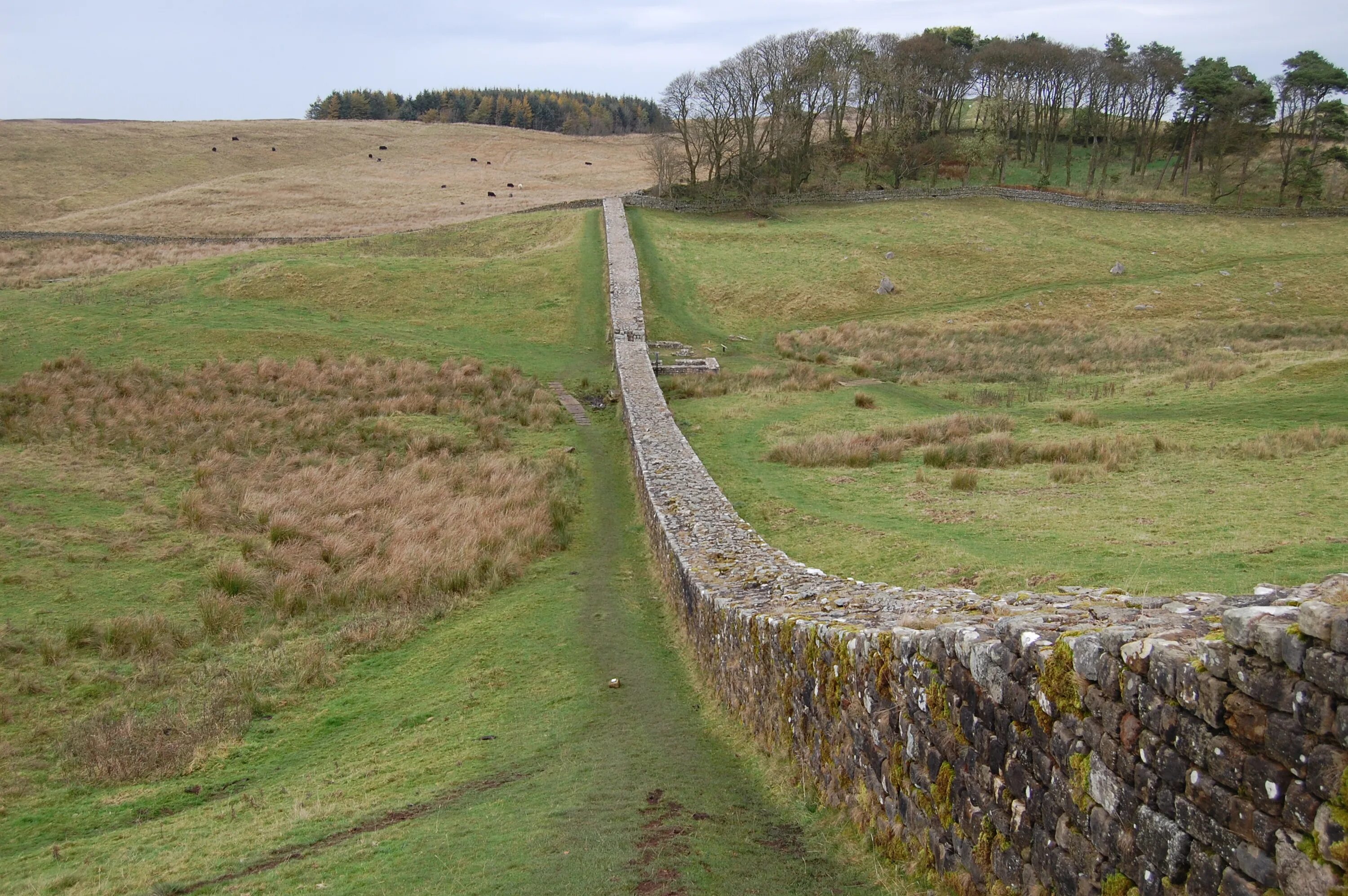 Змиевы валы князя Владимира. Hadrian's Wall Эстетика.