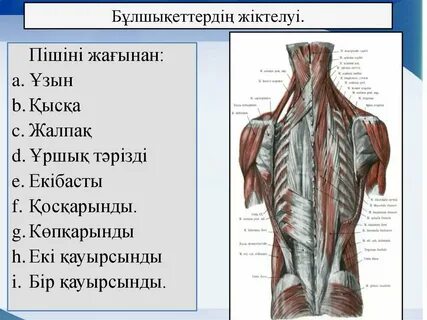 Қайықтағы жалаңаш қазақ әйелі (порно)