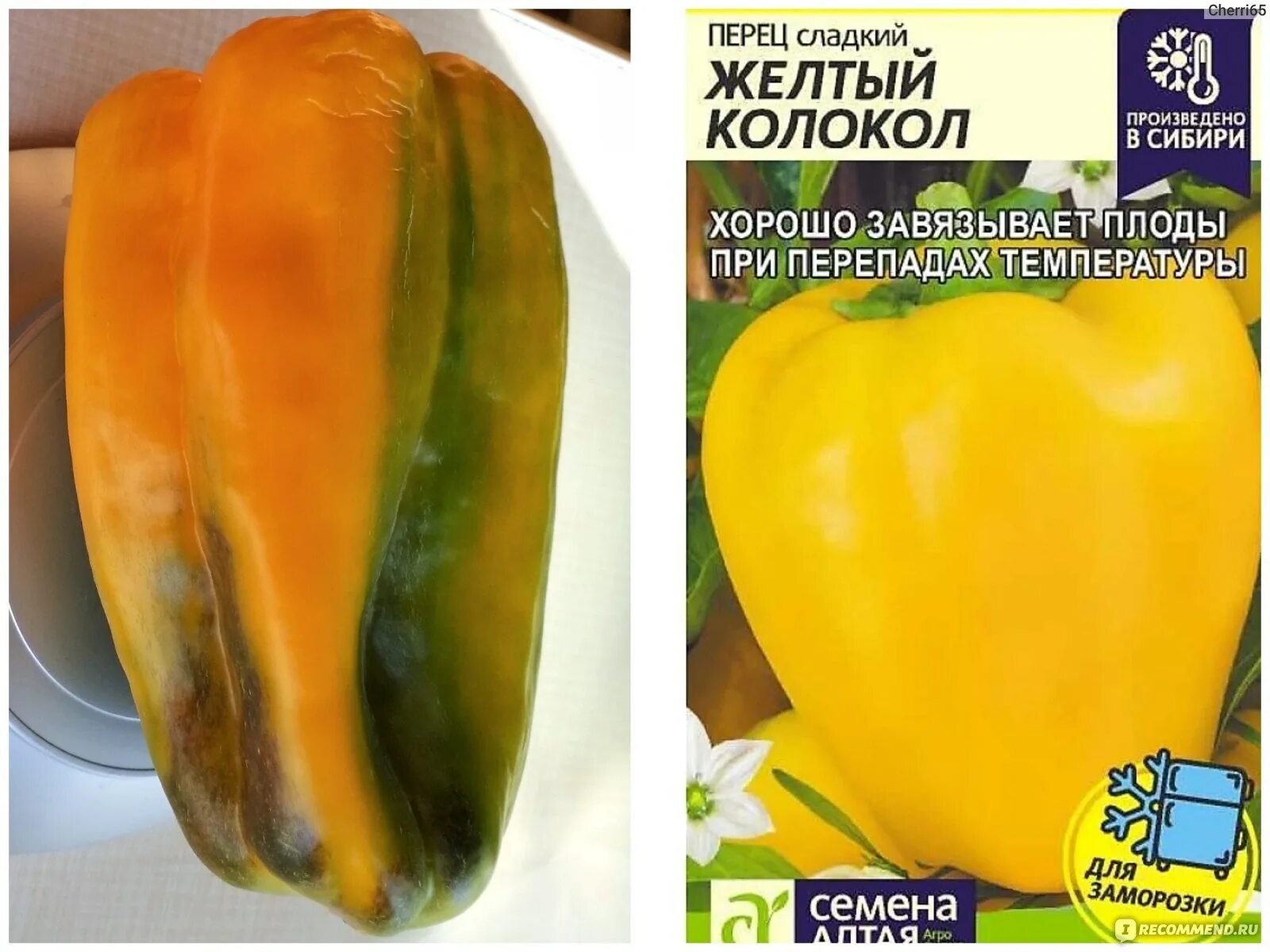 Перец Жёлтый колокол семена - низкая цена, описание, отзывы, продажа