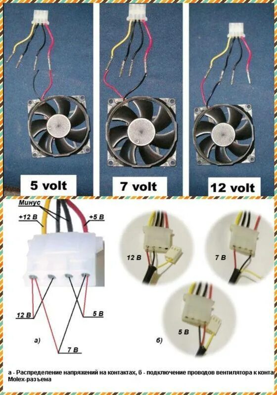 Вентилятор 12 вольт кулер Molex 4 Pin. Кулер 12 вольт распиновка. Вентилятор компьютерный 12 вольт распиновка 3. Распиновка 4 Pin вентилятора и молекс.