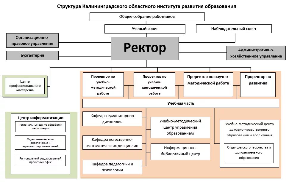 Организационная структура института схема. Организационная структура высшего учебного заведения схема. Организационная структура управления вуза схема. Структура управления институтом схема.