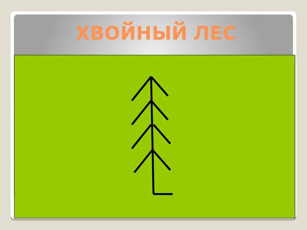 Условные знаки деревьев