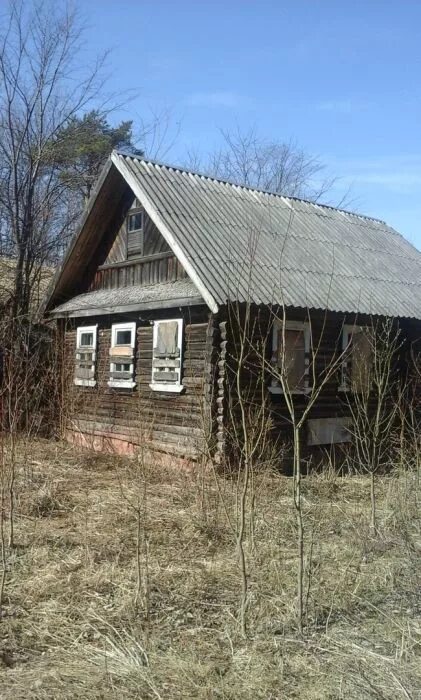 Деревня селеево. Деревня селеево. Селеево новгородская область. Селеево новгородская область. Перегино ловать.