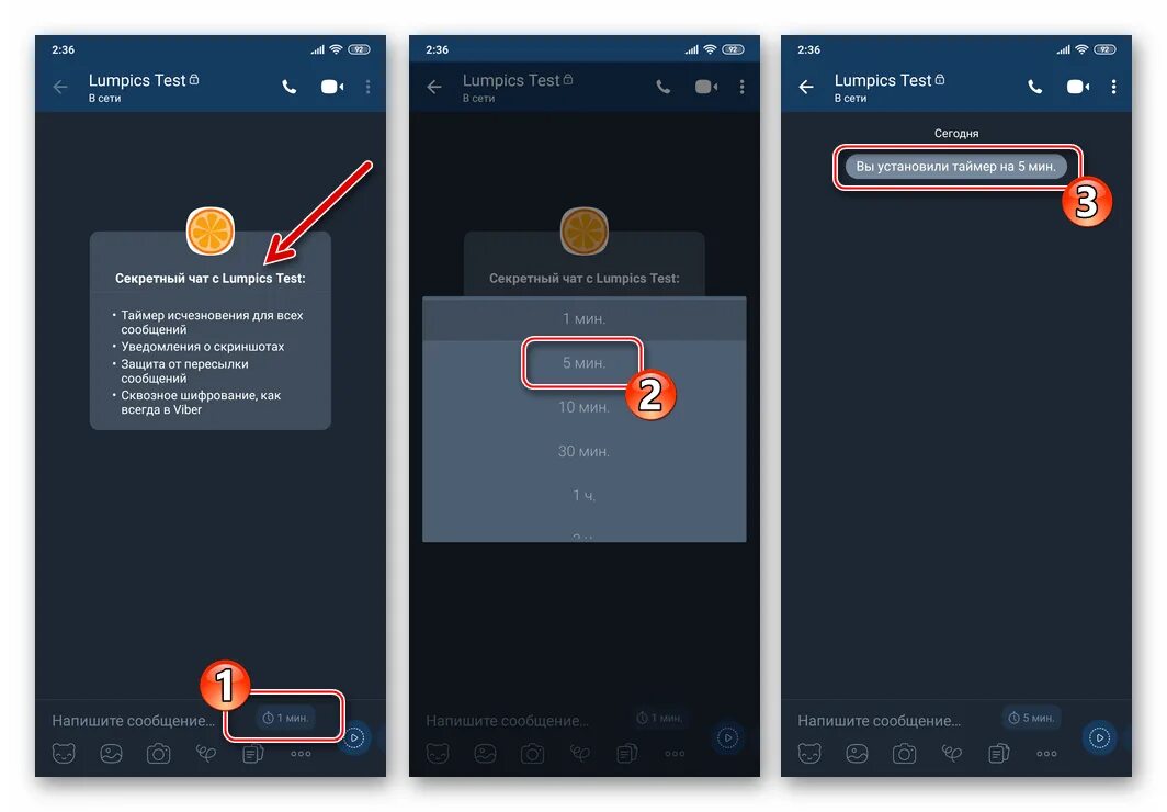 Скрытые чаты в вайбер на андроид. Секретный чат. Секретный чат в вайбере. Как установить таймер в вайбере. Как создать секретный чат в вайбер.