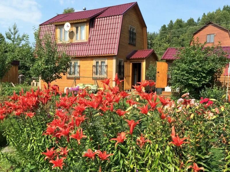 Дачи под питером. Дачный дом в садоводстве. Дачи г санкт петербург. Дача в питере. Дачные домик в садоводсве.