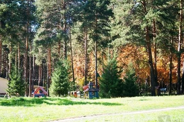 Сосновый бор новосибирск. Сосновый бор (парк, новосибирск). Сосновый бор (парк, новосибирск). Сосновый бор (парк, новосибирск). Пкио сосновый бор новосибирск.