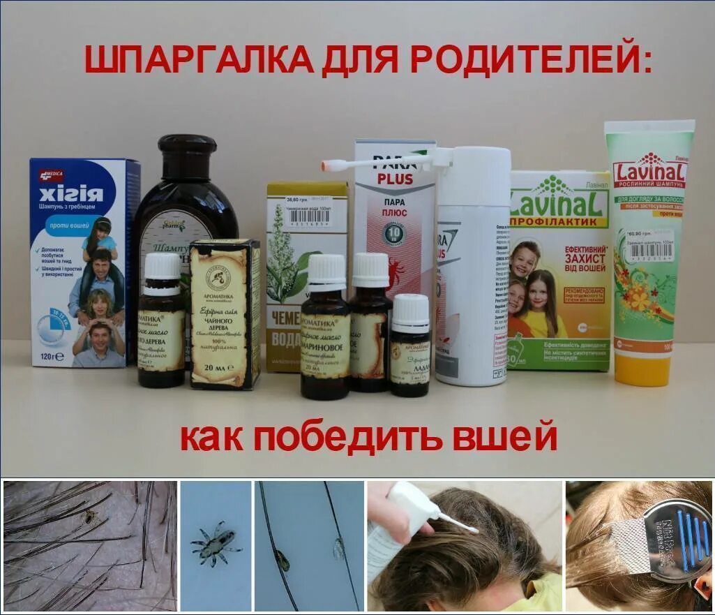 Как быстро вывести гнид на длинных волосах