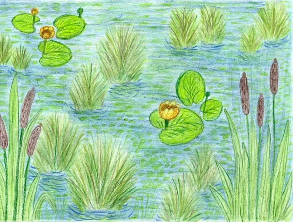 Болотная тема. Болото для детей. Природное сообщество рисунок. Рисование болото. Изображение болота для детей.
