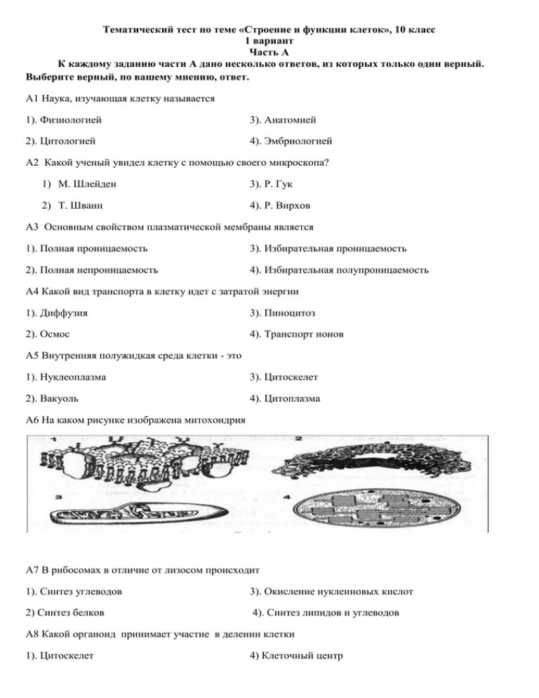 Строение клеток тест с ответами