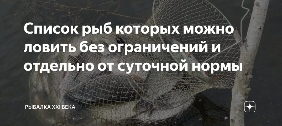 Какую рыбу можно ловить без ограничений. Какую рыбу можно ловить без ограничений Новосибирск. Какую рыбу можно ловить без ограничений на Сахалине. Состояние которое можно поймать.