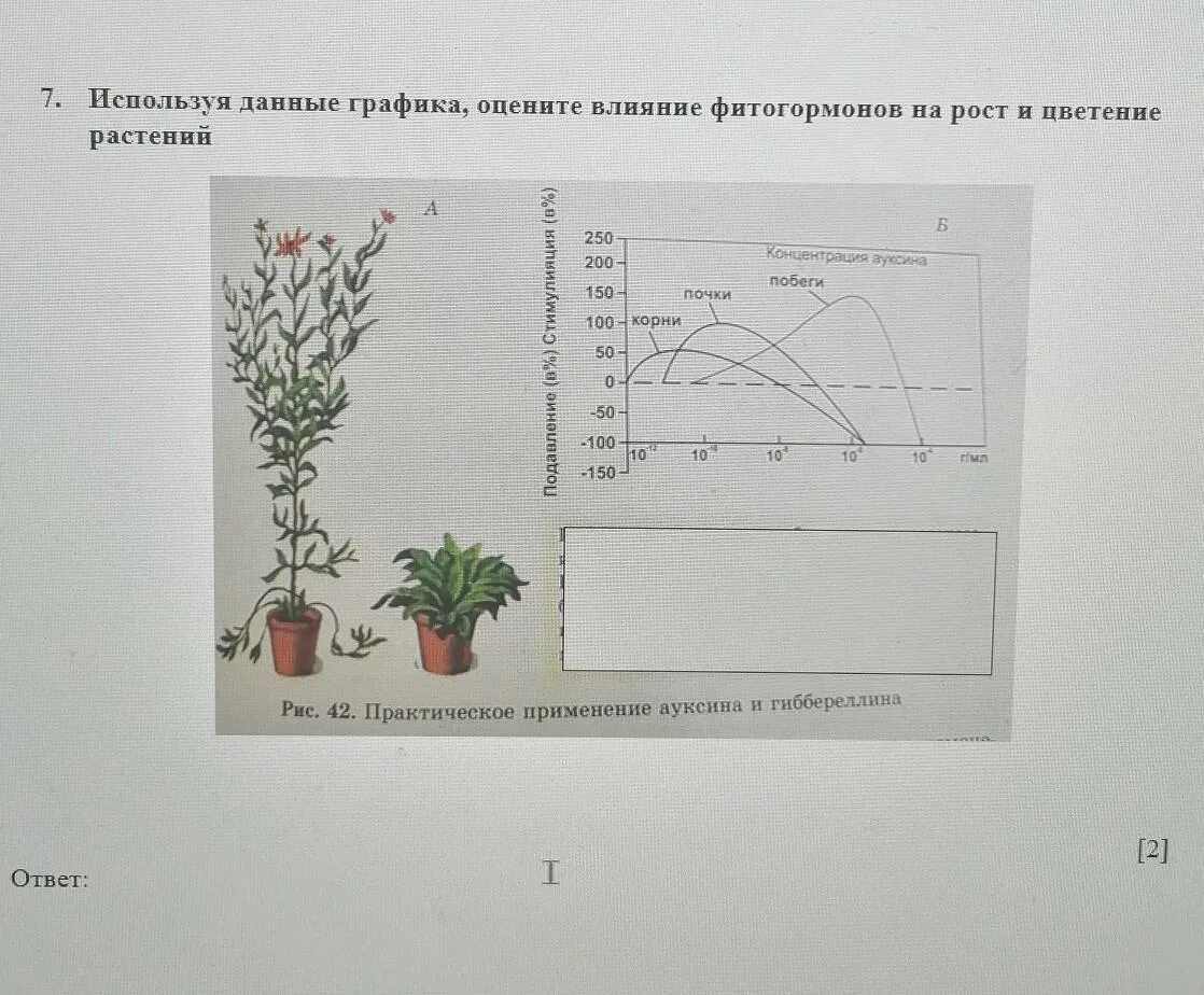 Влияние фитогормонов на рост. РСТ И цветение растений. Влияние фитогормонов на рост растения. Влияние фитогормонов на цветение. График влияние фитогормона на рост растений.