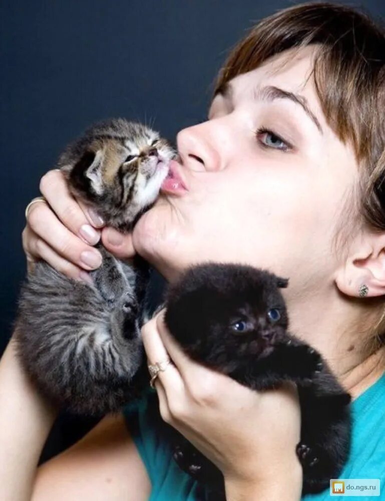 Как красиво чыотать котят. Фотографировать котят. Фотографирование котики. Милые котята. Идеи для фотосессии котят.