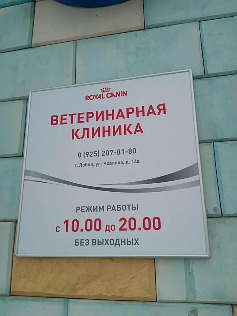 Ветклиники лобня телефоны. Ветклиники лобня телефоны. Колибри ветклиника долгопрудный. Ветклиники лобня телефоны. Ветклиники лобня телефоны.