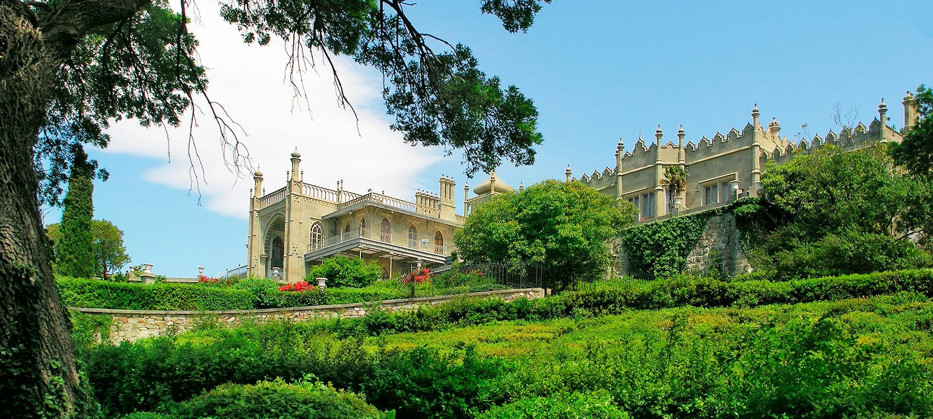 Весенняя аллея Крым. Алупка, Воронцовский парк #путешествия #парк #Воронцовский 