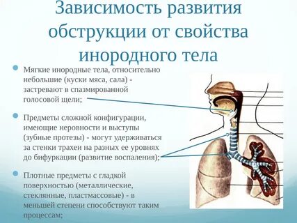 Пища в дыхательных путях