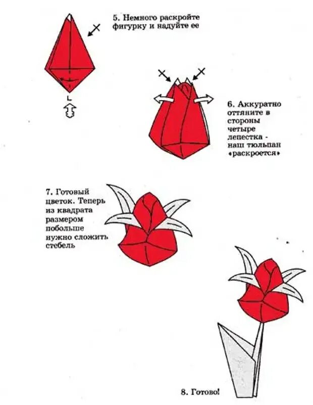 Складывание из бумаги для детей тюльпан схема. Оригами тюльпан схема для начинающих пошагово. Оригами из бумаги цветы тюльпан схема. Оригами цветок тюльпан схема.