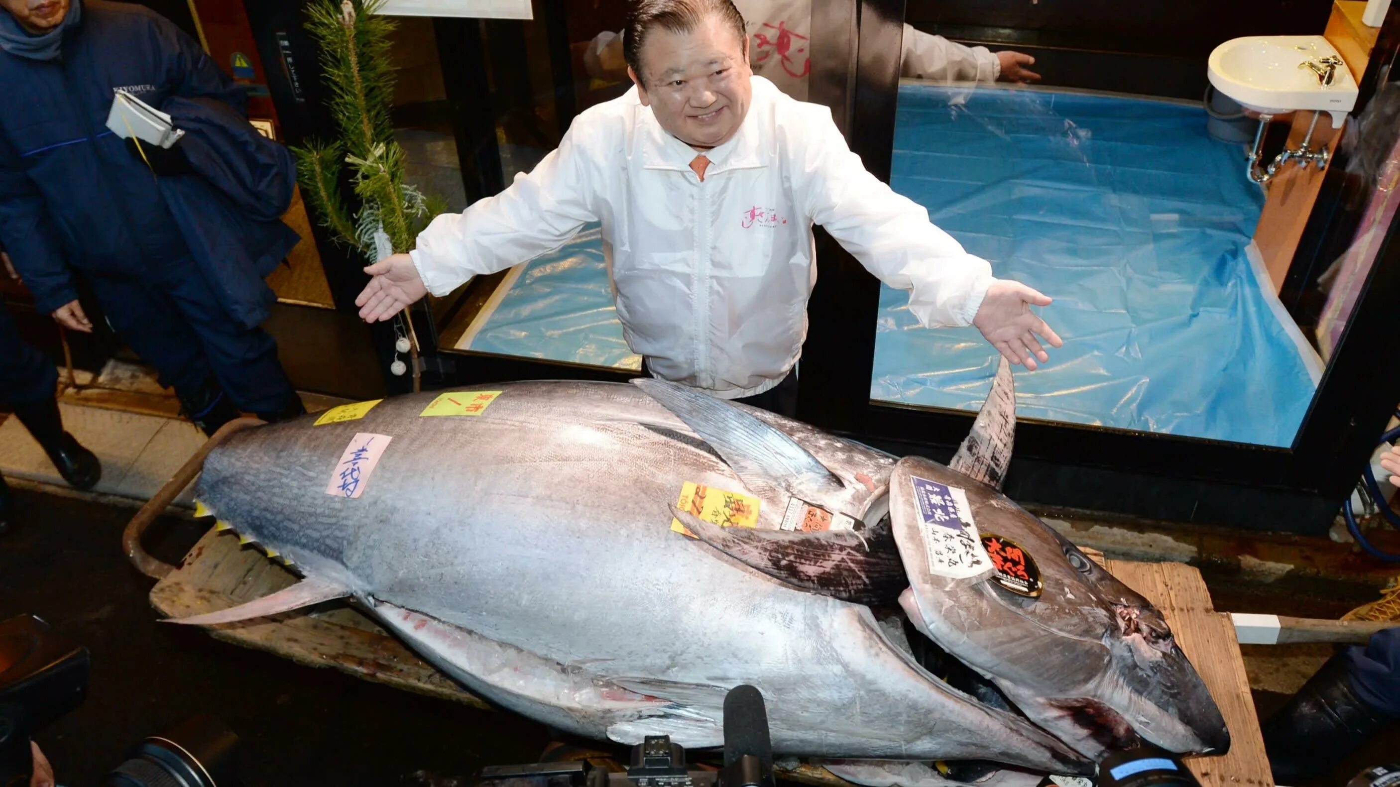 Япония рыбный рынок тунец.