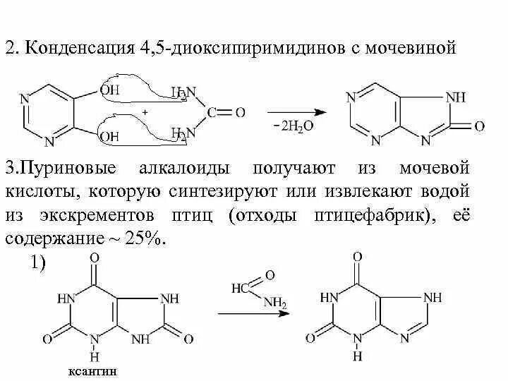 Мочевая кислота презентация. Мочевая кислота формула. Аммиак. Мочевина и мочевая кислота в чем отличие. Мочевая кислота.