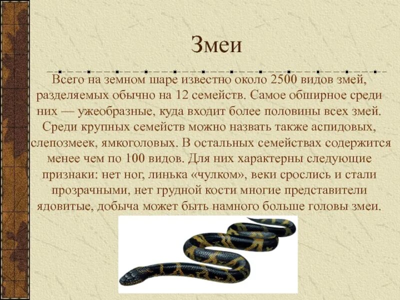 Тексты про змей