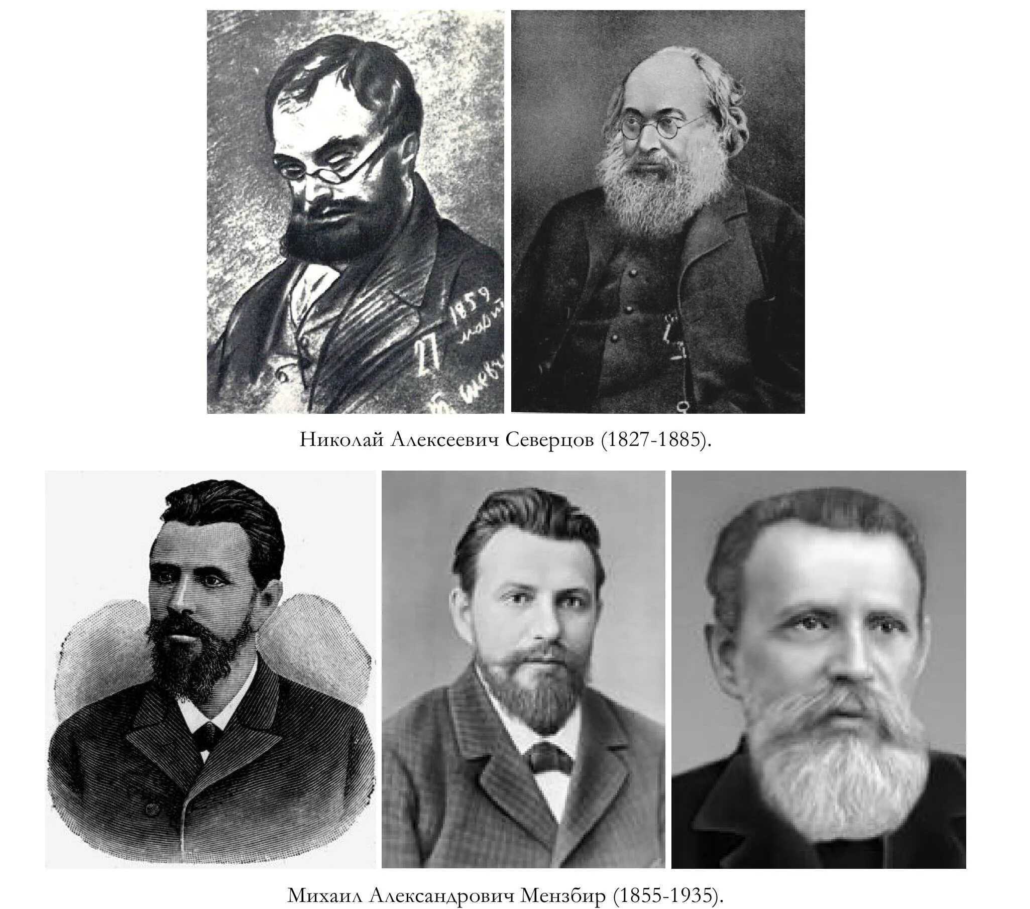 Ученый зоолог Мензбир. Н.А.Северцов (1827-1885). Группа корифеев 6
