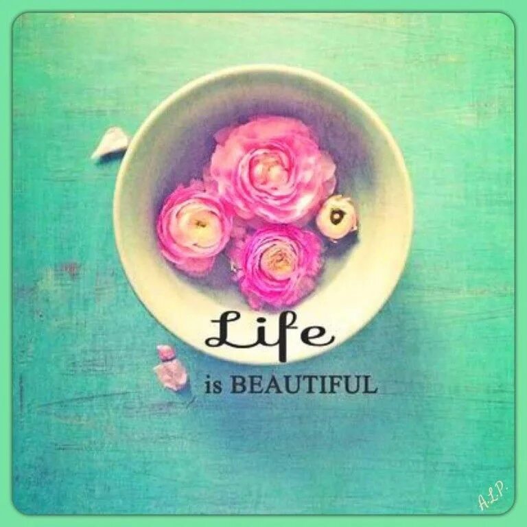 Life is beauty. Life is beautiful картинки. Stay beautiful. Тетрадь Life is beautiful. Картинки со словом бьютифул.
