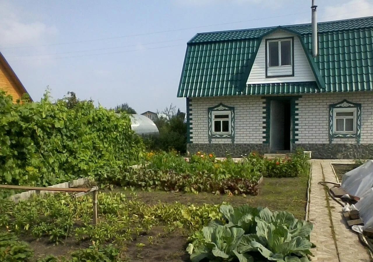 Купить жилье в промышленной. Дачные домик в садоводсве. На даче. Дача в СНТ. Дача с зимним проживанием.