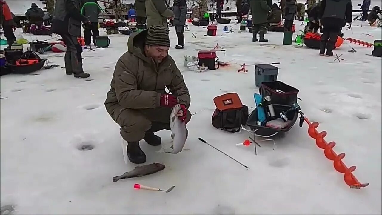 Рыбалка на сига. Рыбалка на Канонерском острове зима. Осетр на зимней рыбалке ночью. На что ловить форель. Клев форели на платниках