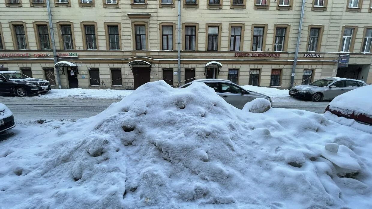Они стояли засыпанные снегом как будто