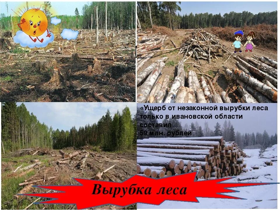 Проблема вырубки леса. Экологическая проблема вырубки лесов. Гибель и вырубка лесов. Последствия вырубки лесов.