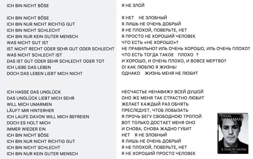 Песня рамштайн ду хаст на русском. Till Lindemann ich Hasse kinder текст. Тилль Линдеманн ich Hasse. Тилль Линдеманн о русских. Я не злой Тилль Линдеманн.