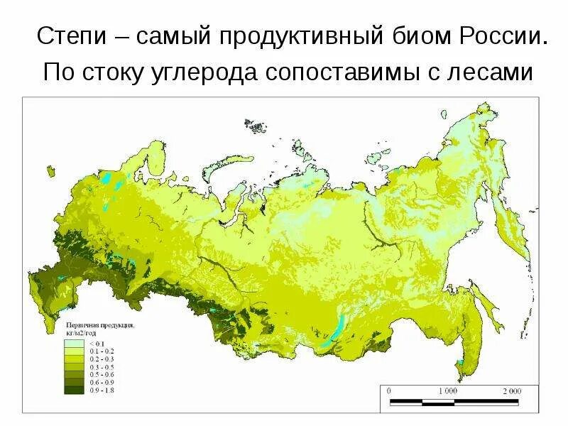 Биомы России. Степи на карте России. Карта биомов России. Географическое положение степи. Годовой сток степи в россии