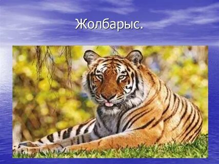 Үлкен мүшесі және әйелдер