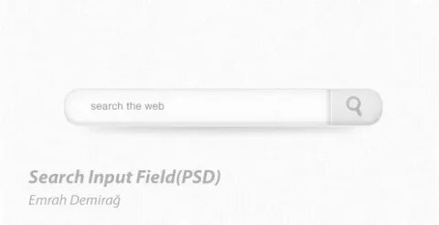Search fields