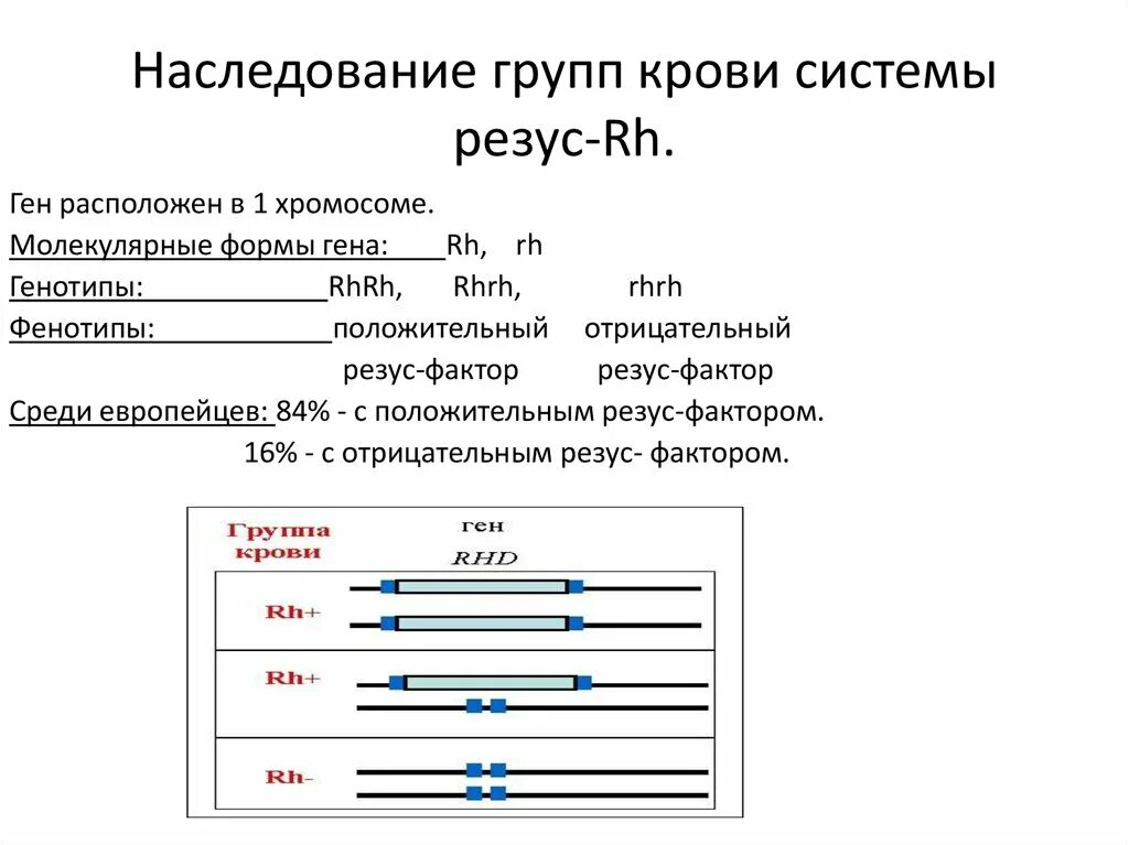 Наследования групп крови АВО И резус-фактора.. Наследование по крови и резусу. Наследование системы резус фактор. Наследование групп крови системы ав0. Сдать анализ крови на резус фактор