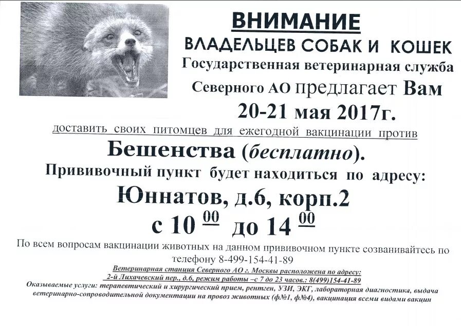 Объявление о вакцинации животных. Объявление о вакцинации животных против бешенства. Объявление о прививках животным. Объявление о проведении вакцинации животных. Бесплатная прививка от бешенства собаке в москве