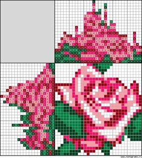 Answer rose